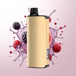 Alibarbar Ingot 9000 Puffs Blackberry Ice 22ml 2350mAh LED