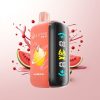 ELF BAR RAYA D3 25000 Puffs Watermelon Ice Disposable Vape Rechargeable 850mAh 23ml 5% Type-C