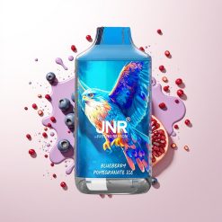 JNR Falcon 16000 Puffs 22ml 850mAh Dual Mesh Blueberry Pomegranate Ice Type C LED Display 0% 2%