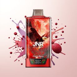 JNR Falcon Pro 28000 30ml Cherry Berry Dual Mesh Smart Display