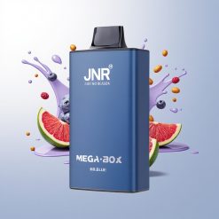 JNR Mega Box 25000 Puffs Mr Blue Dual Mesh 30ml Type-C 2%