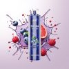 JNR Shisha Hookah 12000 Puffs Blueberry Ice with 24ml E-liquid 750mAh Type-C Fast Charging 0.6 Ohm Mesh Coil